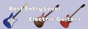 post for entry level elec guitars