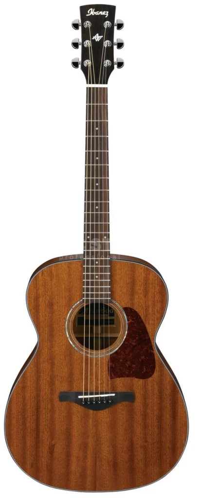 ibanez acoustic guitar