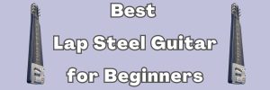 Best Lap Steel Guitar For Beginners