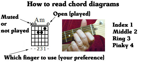 how to read a chord diagram