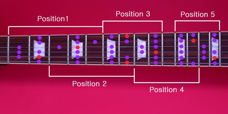 Scale Patterns and Positions